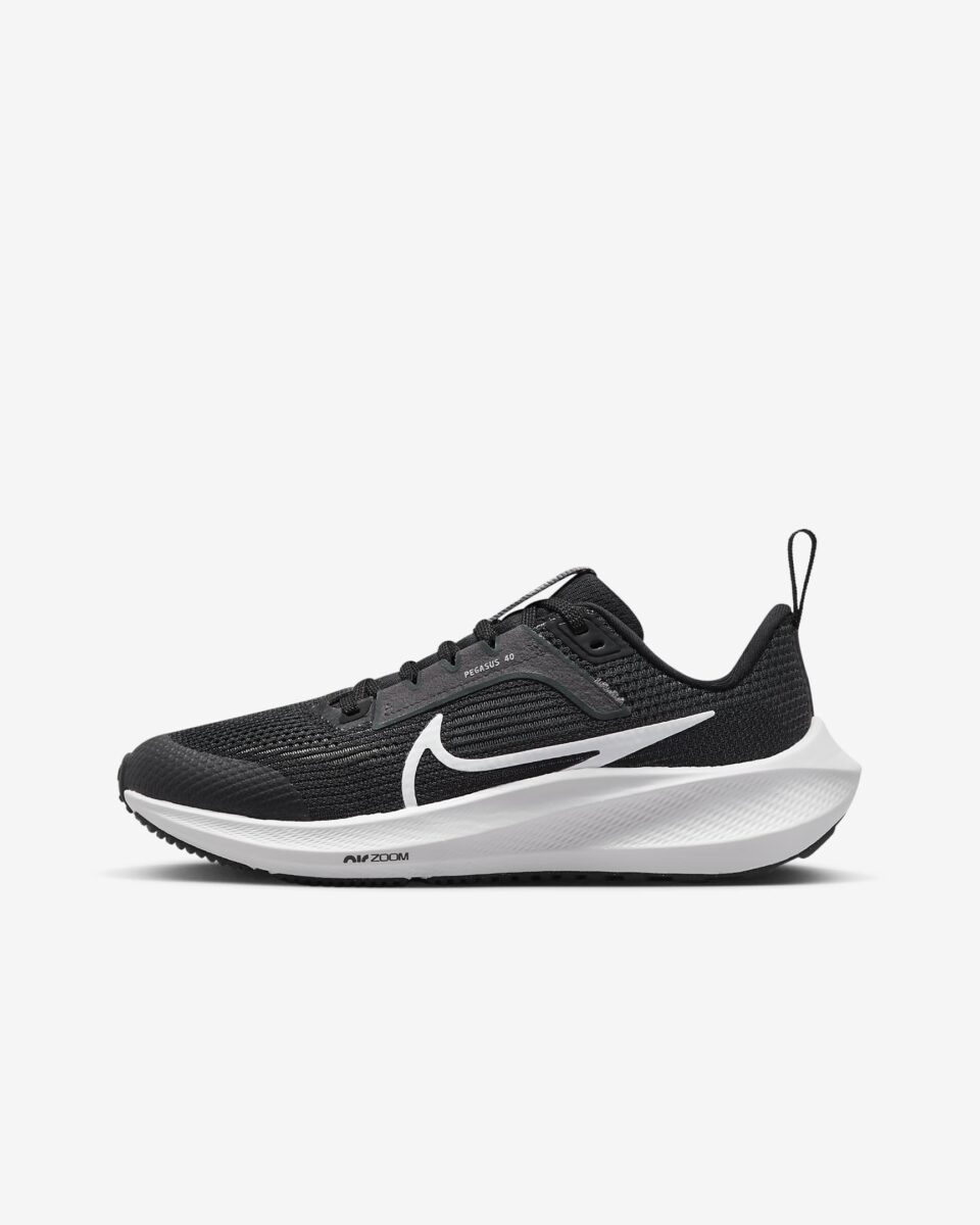 Nike Air Zoom Pegasus 40 Black/iron