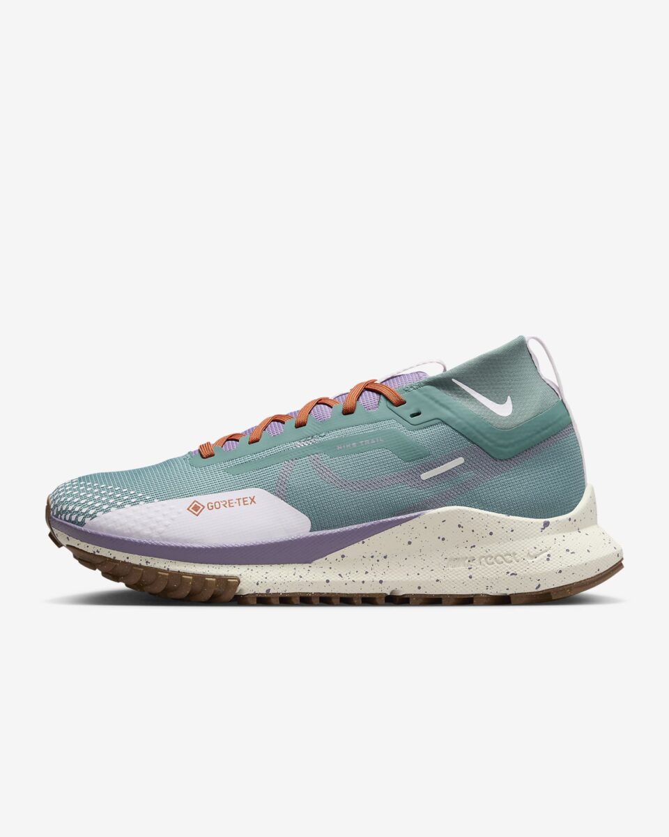 Nike Pegasus Trail 4 Gore-tex Bicoastal